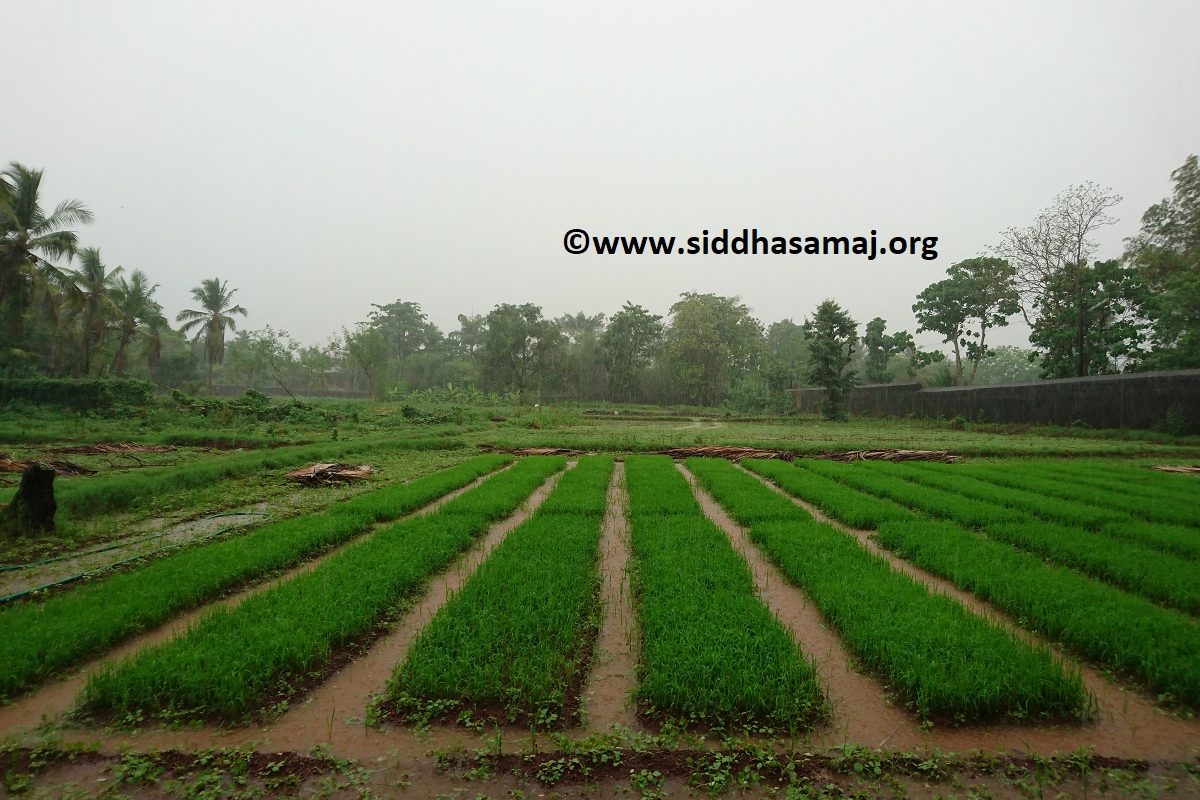 Means of Livelihood