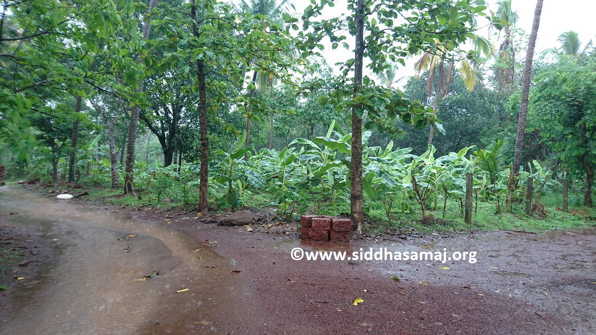 Means of Livelihood1